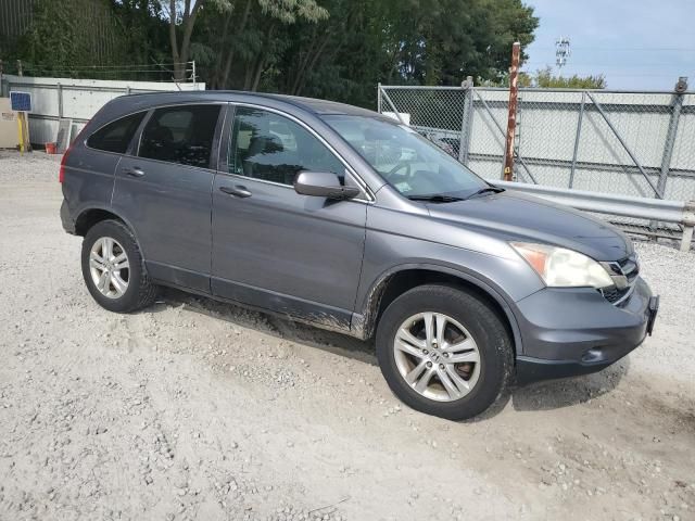 2010 Honda CR-V EXL