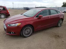 Ford salvage cars for sale: 2014 Ford Fusion Titanium HEV