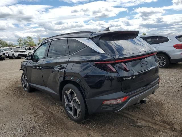 2023 Hyundai Tucson Limited