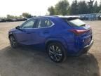 2024 Lexus UX 250H Base