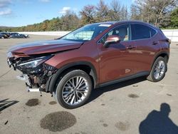 Lexus salvage cars for sale: 2025 Lexus NX 350 Premium