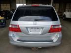 2005 Honda Odyssey EXL