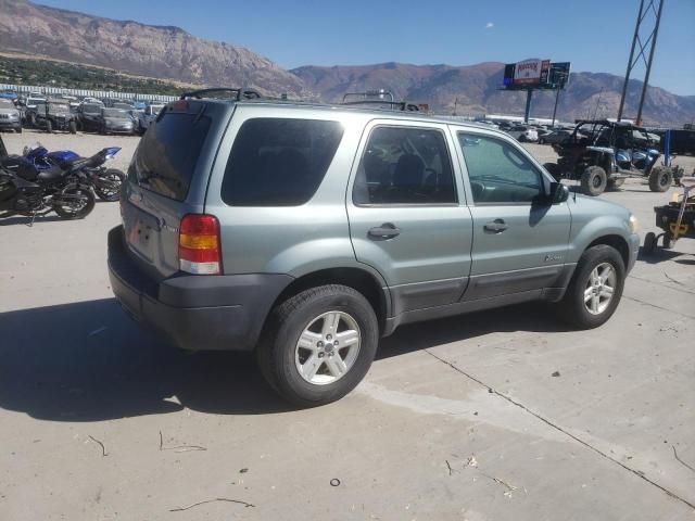 2006 Ford Escape HEV