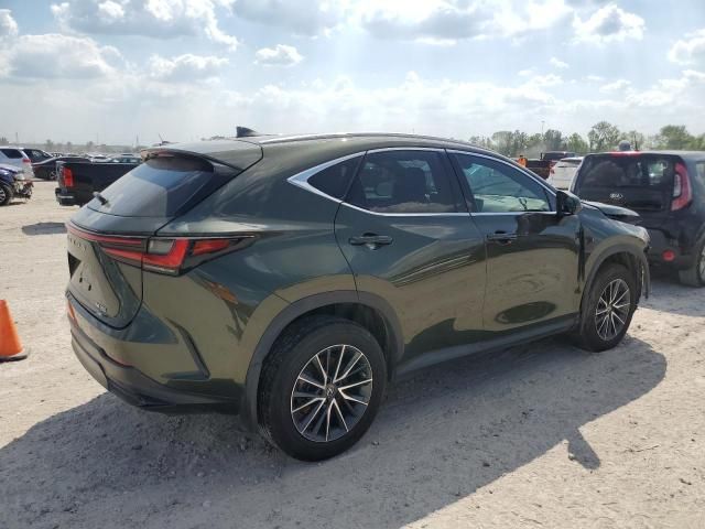 2023 Lexus NX 350