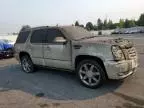 2007 Cadillac Escalade Luxury