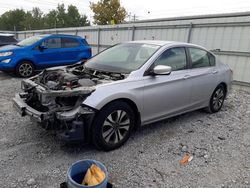 Salvage cars for sale at Walton, KY auction: 2013 Honda Accord LX