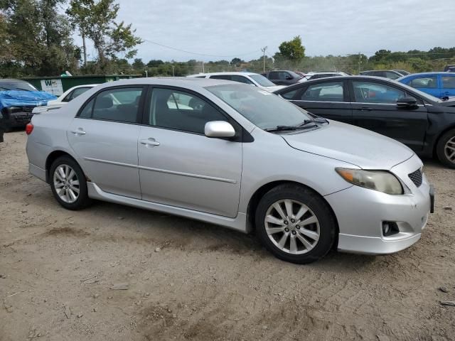 2010 Toyota Corolla Base