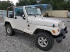 2001 Jeep Wrangler / TJ Sahara