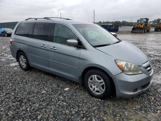 2005 Honda Odyssey EXL