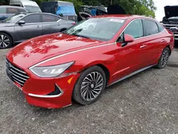 Carros híbridos a la venta en subasta: 2020 Hyundai Sonata Hybrid