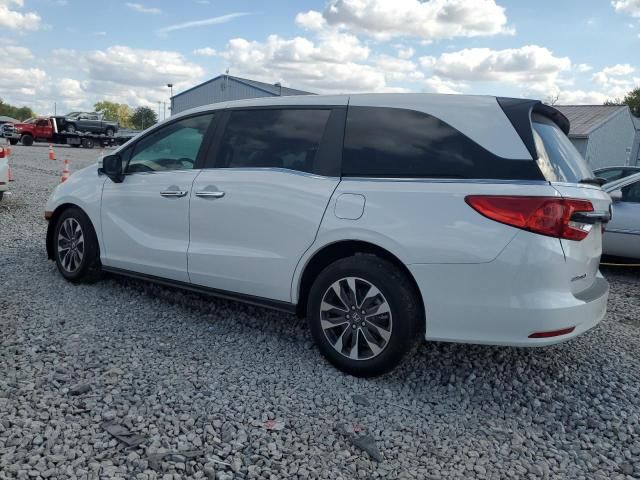 2024 Honda Odyssey EXL