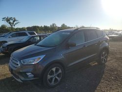 Salvage cars for sale at Des Moines, IA auction: 2017 Ford Escape SE