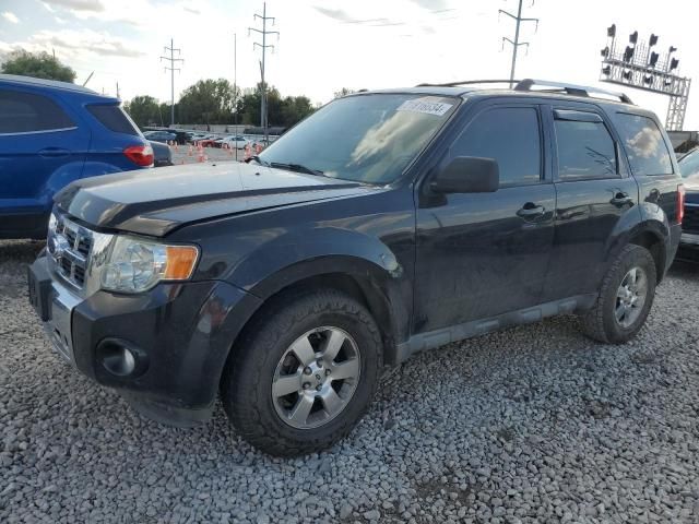 2011 Ford Escape Limited