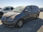 2006 Honda Odyssey EXL