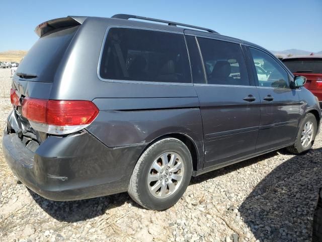 2010 Honda Odyssey EXL