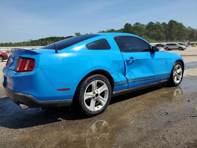 2010 Ford Mustang