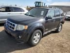 2008 Ford Escape XLT