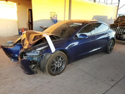 Salvage cars for sale at Phoenix, AZ auction: 2023 Tesla Model 3