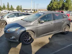 Ford salvage cars for sale: 2013 Ford Focus SE