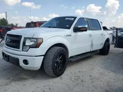 Salvage trucks for sale at Haslet, TX auction: 2013 Ford F150 Supercrew