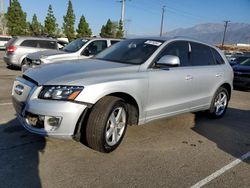 Audi Vehiculos salvage en venta: 2012 Audi Q5 Premium Plus