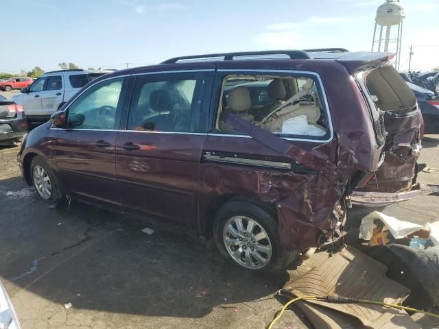 2010 Honda Odyssey EXL