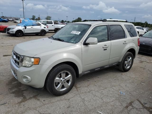 2009 Ford Escape Limited