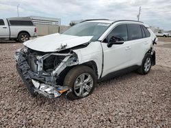 Vehiculos salvage en venta de Copart Phoenix, AZ: 2020 Toyota Rav4 XLE