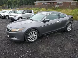 Salvage cars for sale at Baltimore, MD auction: 2009 Honda Accord EXL