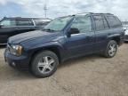 2008 Chevrolet Trailblazer LS