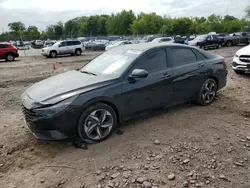 Vandalism Cars for sale at auction: 2023 Hyundai Elantra SEL