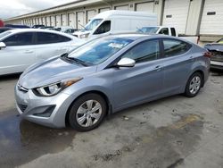 Salvage cars for sale at Louisville, KY auction: 2016 Hyundai Elantra SE