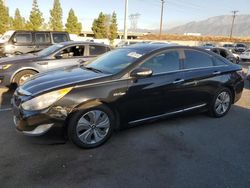 Vehiculos salvage en venta de Copart Rancho Cucamonga, CA: 2013 Hyundai Sonata Hybrid