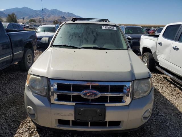 2008 Ford Escape XLT