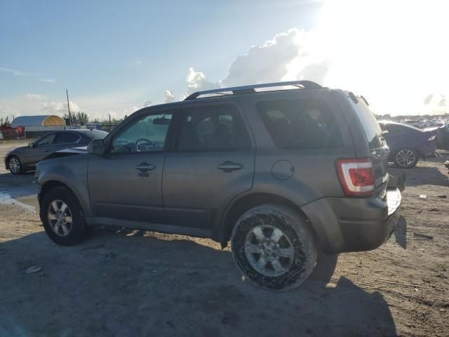 2011 Ford Escape Limited