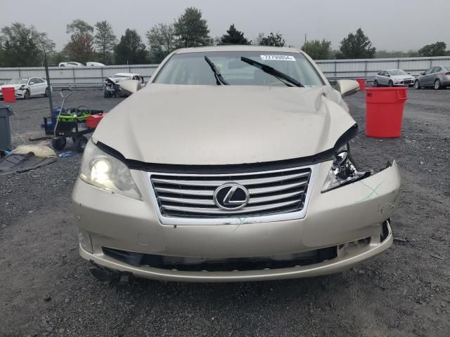 2010 Lexus ES 350