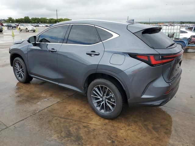 2025 Lexus NX 250 Premium