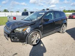 Salvage cars for sale at Houston, TX auction: 2014 Ford Escape Titanium