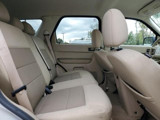 2008 Ford Escape XLT