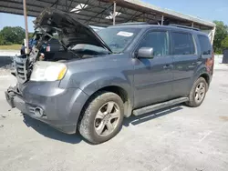 Vehiculos salvage en venta de Copart Cartersville, GA: 2014 Honda Pilot EXL