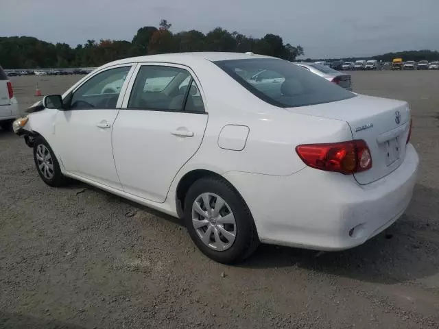 2010 Toyota Corolla Base