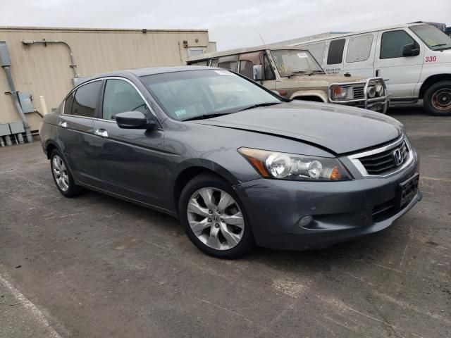 2010 Honda Accord EXL