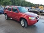 2006 Ford Escape HEV