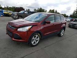 Ford salvage cars for sale: 2014 Ford Escape SE