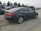 2014 Lexus ES 300H