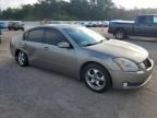 2004 Nissan Maxima SE