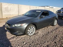 Salvage cars for sale at Phoenix, AZ auction: 2010 Honda Accord EXL