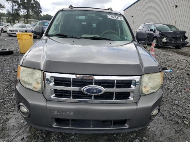 2009 Ford Escape XLT