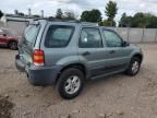 2005 Ford Escape XLS