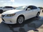 2013 Lexus ES 300H